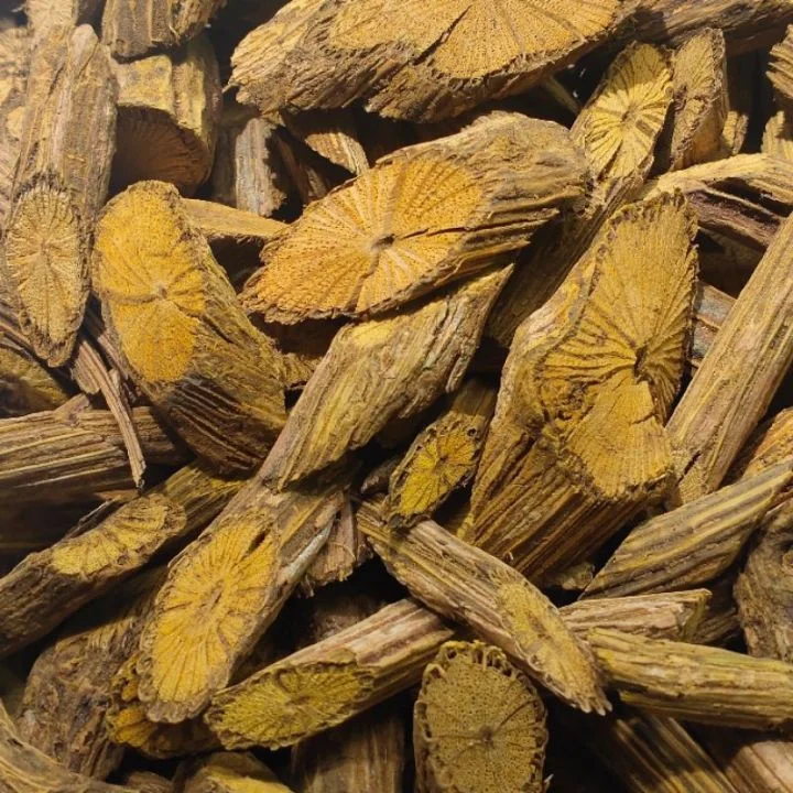 Abu Kayu Kesambi